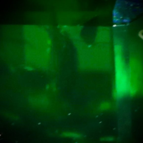 Columbian Emerald .53ct Solid 18K Yellow Gold Ring - Picture 3 of 9